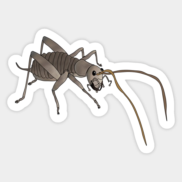 Weta biggest insect Sticker by FabuleusePlanete